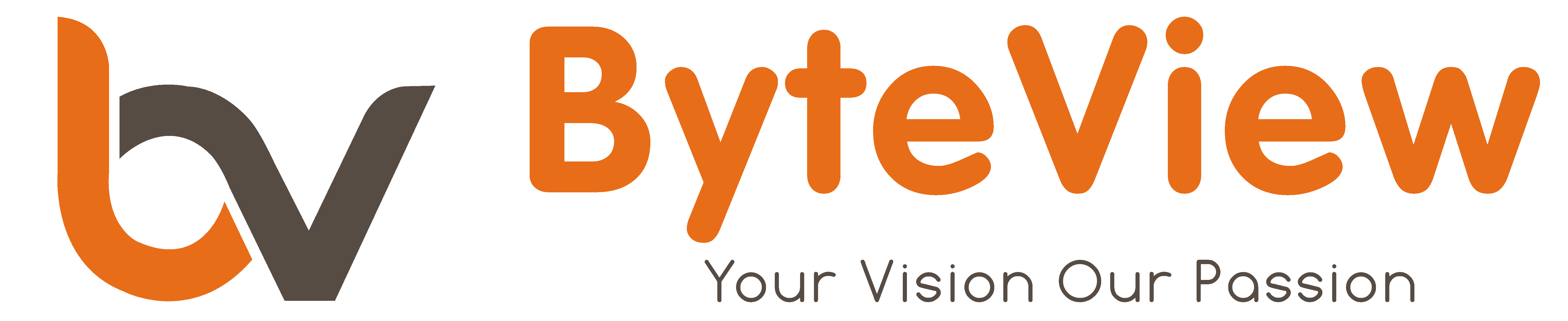 Byteview_logo